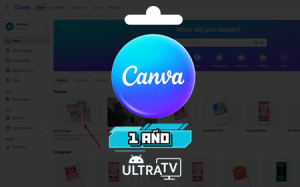 CANVA 1 año